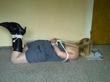 Reading in a hogtie 2/2