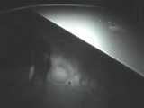 HIDDEN CAM AND FUCKING COUPLES