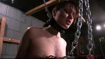 Heavy Steel Restraints for Yvette Costeau