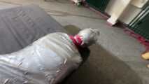 Myxxxy mummyfied in Rainwear struggeling to get free