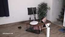 Miss Amy Douxxx pees on the toliett box 