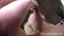 The Insemination Table