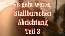 es geht weiter - Stallburschenabrichtung 3