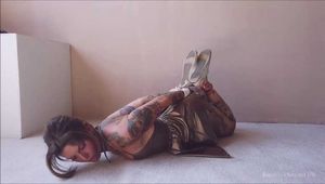 Golden Hogtie