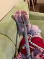Hogtied Loredana