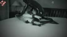 CREAMPIE IN LATEX