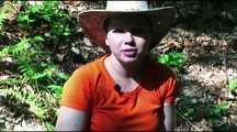 THE JUNGLE CAMP PART 1