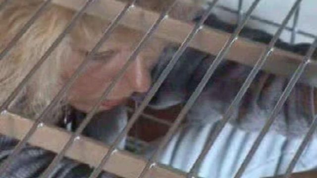 ab-007 Silvi: Hijacked (3)