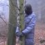 In the forest (2) VCD