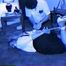 3rd GRADE SCHOOL TEACHER HOSTAGE GETS TIGHTLY HOG-TIED (D18-4)