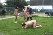 The dog on a leash