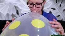 Blow2Pop clear U16 yellow polka dot