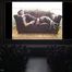 Blackfoxbound Cinema Stills