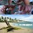 SEX ON THE BEACH