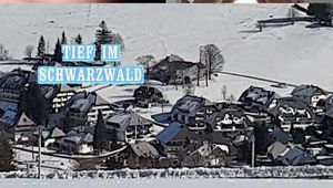 DEEP IN THE BLACK FOREST