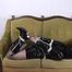 Michelle in einem hogtie 3/3