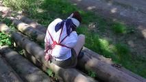 Aurora roped on trees 2/2