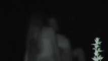 VOYEURFUN 1910 part 2