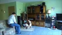 Cindy - The Fake Insurance Agent 3 Part 3 of 6