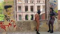 Hard Ballbusting for my Slave