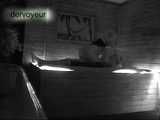 HEIMLICH BEOBACHTET UND DU DABEI