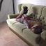 Katja von Ginger in einen hogtie gefesselt 2/2