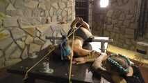 The new Spain Files - Cruel Scorpion Tie Challenge for Maya Homerton 