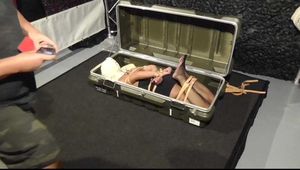 In the Box - This was weird...