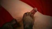 FOOT AND ON SPERM