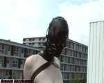 Rooftop Restrained - video