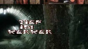 TIEF IM KERKER