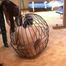 SMG-002-3: Caged and tortured with sparkles