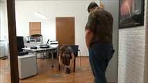 Cindy - The Fake Insurance Agent 1 Part 3 of 6