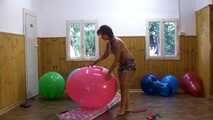 Bibi 33