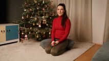 1375 Fröhliche Weihnachten 2022