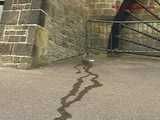 016101 Eve Takes A Risky Pee In The Heritage Musuem