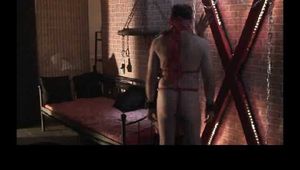 Lick-servant ...
