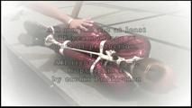 Anothe Hogtie for our new Girlie...