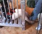 ab-086 Held for ransom (3)