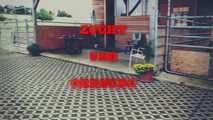 BREED AND ORDER