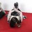 Left lying helpless 2/2