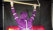 Watching sexy Sonja wearing a supersexy purple shiny nylon rainwear combination being tied and gagged overhead with ropes and a clothgag (Video)
