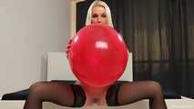 clip no 382