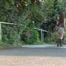 055002 Natly Pees In The Village Street