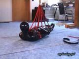 Suspension (VCD)