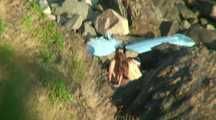 HIDDEN CAM AND FUCKING COUPLES