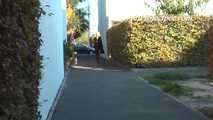 069004 Tiffany Stops For  A Casual Pee On The Footpath