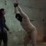 Kicks into the slave's Ball´s