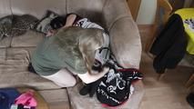 The blanket thief
