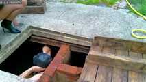 Gefangen im Wasserloch 